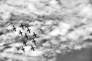 _PIC3537 1