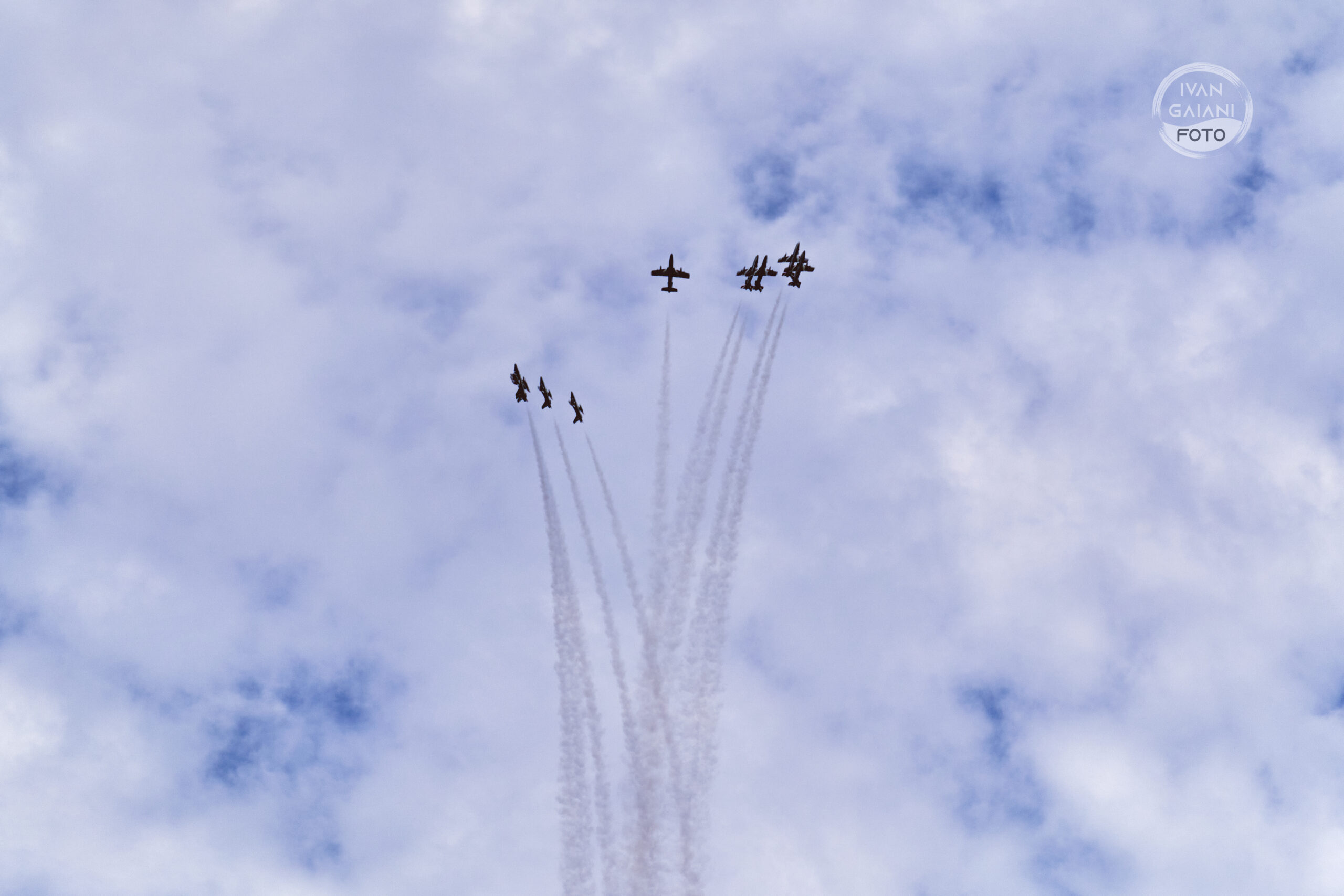 _PIC3631