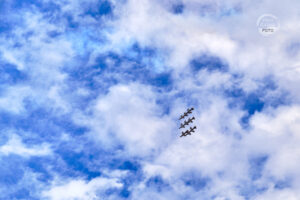 _PIC3699