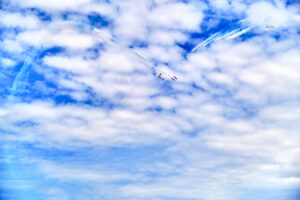 _PIC3779