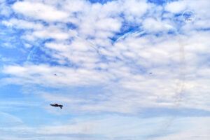 _PIC3782