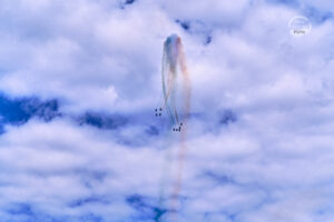 _PIC3894