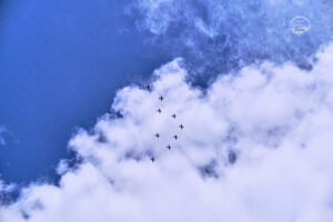 _PIC3991