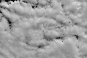 _PIC4005 1
